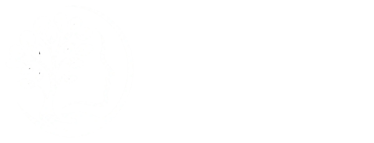 Healthy Minds Psychiatry